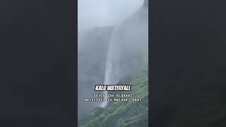 Highest Waterfall : Kalu Waterfall #kaluwaterfall #shorts #malshejghat #trekking #monsoon2024 #high