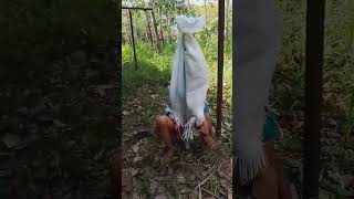 mas adib prank hantu pocong|video lucu#shorts