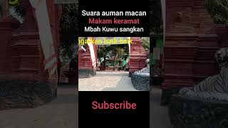 Suara auman macan || makam keramat mbah kuwu sangkan (pangeran cakrabuana)