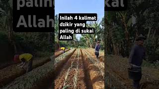 Ayo kita amalkan#ilmu #fakta #motivasi #islamvideo #dakwahislam #viralvideo