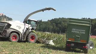 Mais 2023 LU  Hannes Hauptmann  Claas Jaguar 970 & Orbis 750 mit verschiedenen Abfahrern in Bezirk S