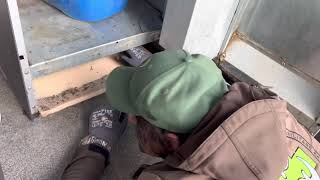 Snake under a coffee dispenser rescue