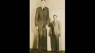 Tallest Man Ever ?