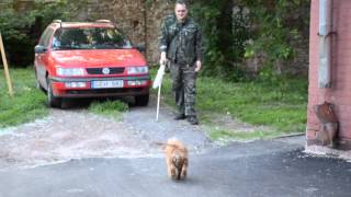 Во дворе... приехал  с работы...