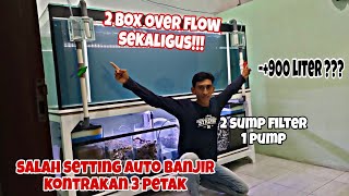 Anti Luber ! Setting 2 Box Over flow Di Tank Predator 1 Ton | Sump filter Tanpa Melubangi Kaca tank.