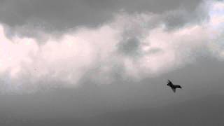 A4 skyhawk on flyby at planes of fame airshow.MOV