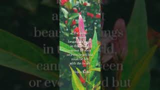 Helen Keller Quotes Voice with Flower 3D photo Background