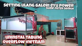 SETTING Tabung Overflow di Semua Tank kesayangan || tabung overflow vietnam cukup sampai disini!