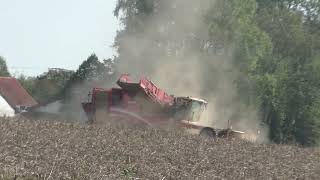 Die 4 reihigen selbstfahrenden Kartoffelroder Grimme VARITRON 470 TERRA TRAC beim Kartoffel Roden im