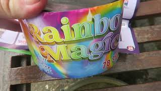 Asda Rainbow Magic £6  Firework