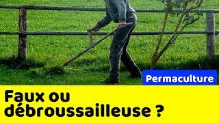 Que choisir faux ou débroussailleuse ?