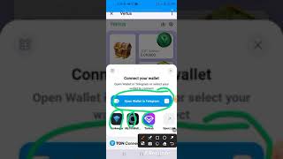 How To Connect Your Vertus Wallet To Your Ton Wallet