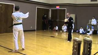 CTRKARATE 3162013 test