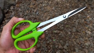 Gunting Pruning Panjang Untuk Pangkas & Panen Buah Bahan Stainless  - Review