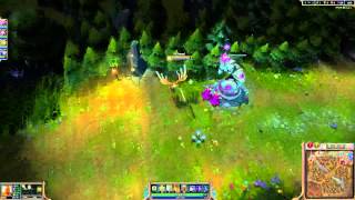 League of Legends minion bug 17/01/14