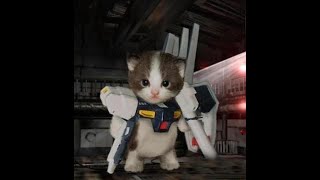 Cat vs Transformers #shorts