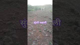 सुंदरी पळाली #viral