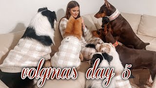 Vlogmas day 5, a very boring day.