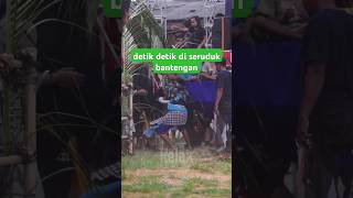 🔥Momen kluarnya Banteng hitam #shorts #viralvideo #kesenian #jarankepang