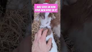 prénom pour le chevreau