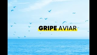 Gripe aviar en...¿mamíferos? #Gripe #Aviar