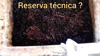 Reserva técnica; você sabe qual o propósito e para que serve?