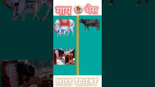 गाय vs भेस #sorts #viralvideo #sorts