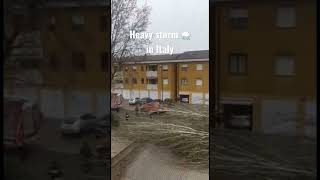 Today heavy Storm in Italy and knockdown big tree #shorts #youtubeshorts