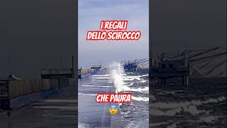 Lo Scirocco a Ravenna: ma quanta roba c’è in mare?