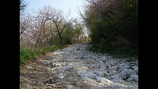 Via Traversa