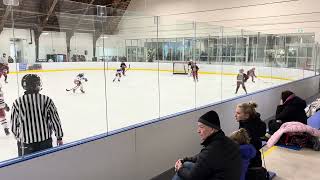 Garden City Minor Falcons Jan 16th Second Period