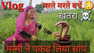 खतरा ☠️  | मम्मी ने पकड़ लिया सांप | मरते मरते बचें | My Village Vlog | Family Vlog