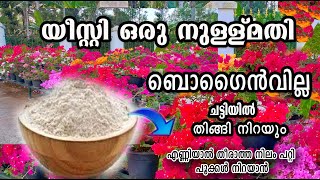 യീസ്റ്റ് നുള്ള് മതി ബോഗൈൻവില്ല തിങ്ങി നിറയും /flowering boost /poppy vlogs/malayalam