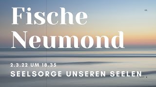 Fische Neumond ~ Seelfürsorge unseren Seelen