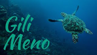 What To Do On Gili Meno - Snorkeling With Turtles, Seri Hotel, Underwater Statues, & Bask Resort.