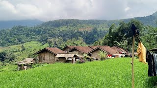 Kampung Pojok Yang Masih Mempertahankan Ke Arifan Lokal Adat Sunda