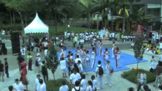 Torch Relay Day 5 Highlights