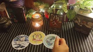 TAURUS🌿August Part 1🌿 वृषभ राशि 🌿Hindi Tarot