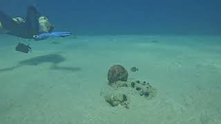 Black Sand Wreck, Curacao Jan. 2024