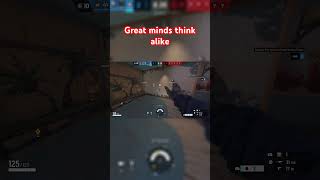 #shorts #funny #fails #adg #rainbowsixsiege #rainbowsix #siege #r6 #videogames #gaming #games