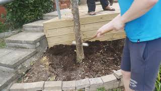 Alot to do Nans House Episode 23 Garden work and Electrical