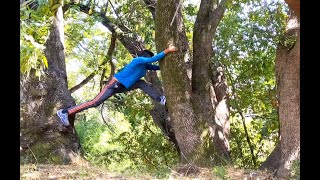 Human bridge tree climb