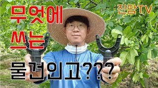 호두나무 재배시 반드시 해줘야하는 일