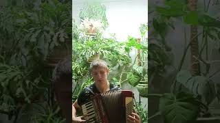 песня улыбка на аккордеоне, beautiful accordion song