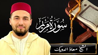 تلاوة خاشعة من سورة مريم - الشيخ معاذ الدويك  - مسجد فضة الرشيدي