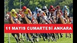 11 MAYIS 2024 CUMARTESİ ANKARA AT YARIŞI TAHMİNLERİ VE YORUMLARI