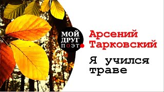 Арсений Тарковский - Я учился траве | А. Тарсковский стихи | Поэзия