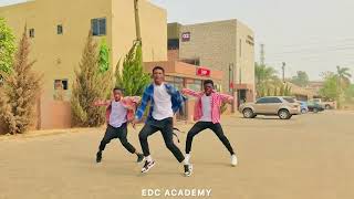 Skiibii-Baddest Boy (Remix)(Official Dance Video)ft. Davido