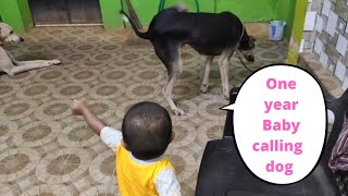 one year baby calling dog | #dog #doglover #dogfunny #dogs #baby