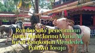 Rambu Solo' Menerima Tamu Pemakaman Almh' Tanna Maria Ne'Ice di Mendedek Palawa Toraja Utara